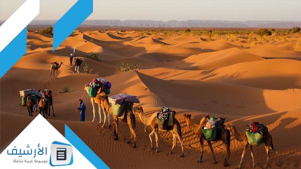 الدغيثر وش يرجعون؟ وأين كانوا يسكنون الدغيثر قديمًا؟ 1 الدغيثر وش يرجعون