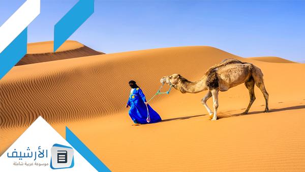 الديحاني وش يرجع؟ وما هو أصل قبيلة الديحاني؟ 1 الديحاني وش يرجع
