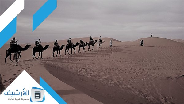 المحمدي وش يرجع؟ وما هي شجرة عائلة محمدي؟ 1 المحمدي وش يرجع