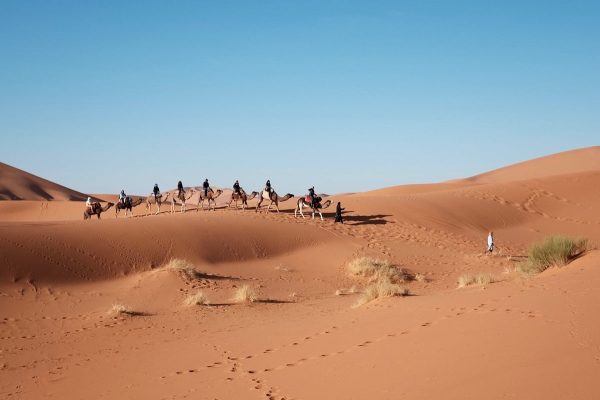 ابن دغيثر من أي قبيلة؟ وأين تتواجد عائلة الدغيثر؟