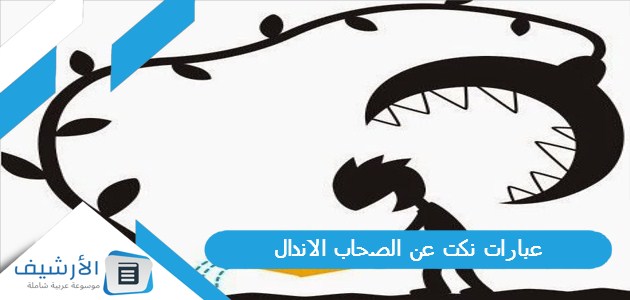 عبارات نكت عن الصحاب الاندال