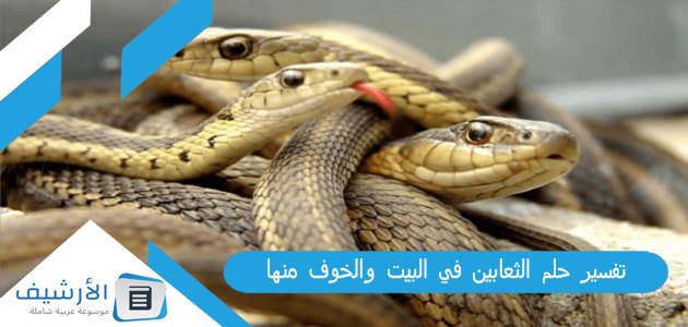 تفسير حلم الثعابين في البيت والخوف منها