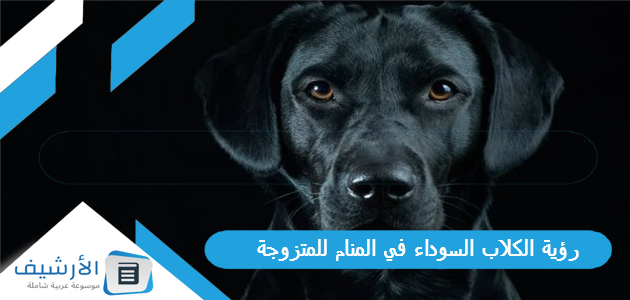 رؤية الكلاب السوداء في المنام للمتزوجة 1 رؤية الكلاب السوداء في المنام للمتزوجة