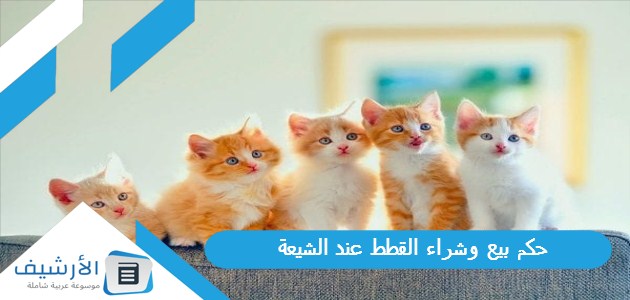 حكم بيع وشراء القطط عند الشيعة