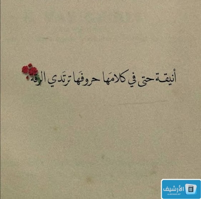 كلام حب بالعامية تويتر