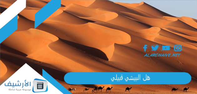 هل البيشي قبيلي؟ ما هو اصل البيشي؟ 1 هل البيشي قبيلي