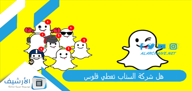 هل شركة السناب تعطي فلوس