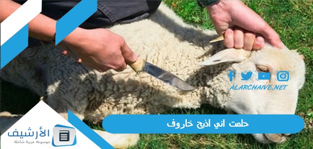 حلمت اني اذبح خاروف.. ما هو تفسير هذا الحلم؟ 1 حلمت اني اذبح خاروف