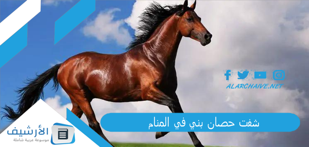 شفت حصان بني في المنام