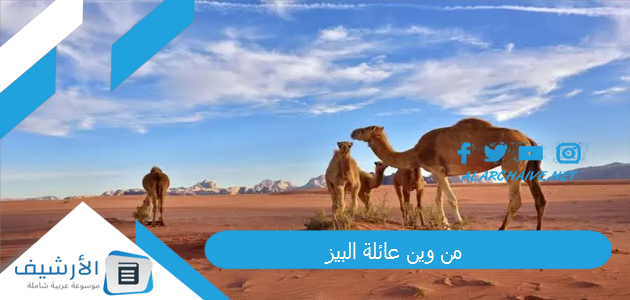 من وين عائلة البيز