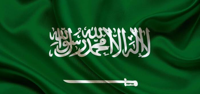 من كان قائد الحملة العثمانية الأولى ضد الدولة السعودية عام 1211 هـ؟!