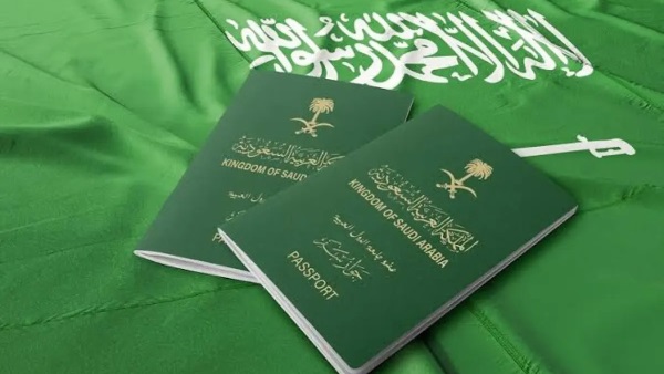 ما هي طريقة الاستعلام عن تأشيرة برقم الطلب؟ منصة التأشيرات تجيب 1 الاستعلام عن تأشيرة