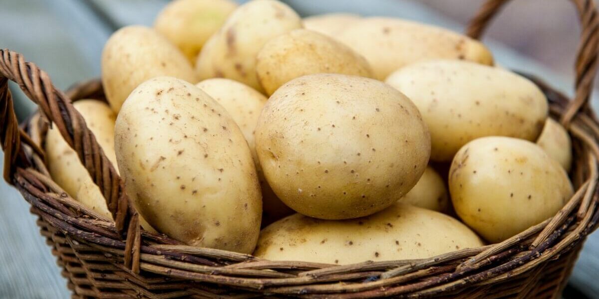 تفسير رؤية البطاطس النية في المنام