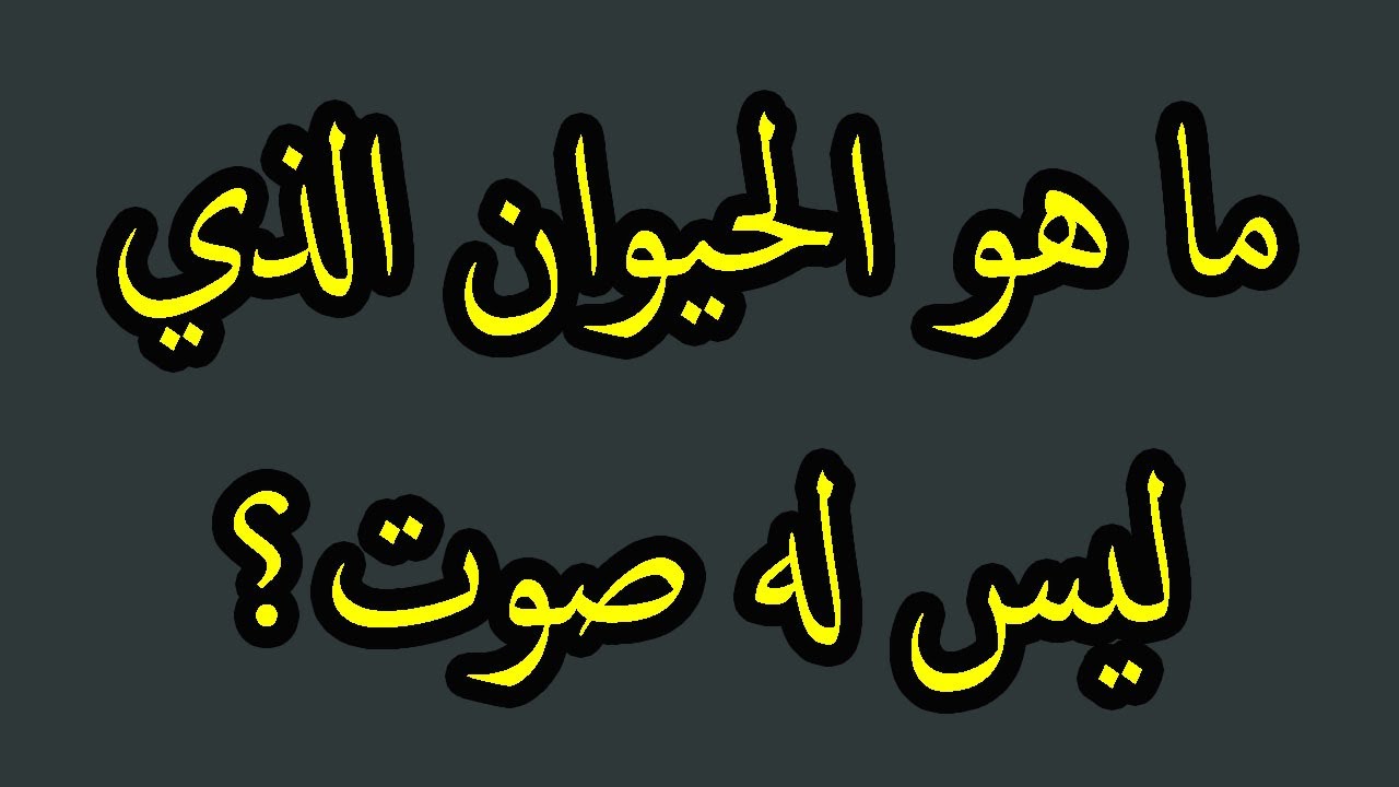 اسئلة عامة للمسابقات