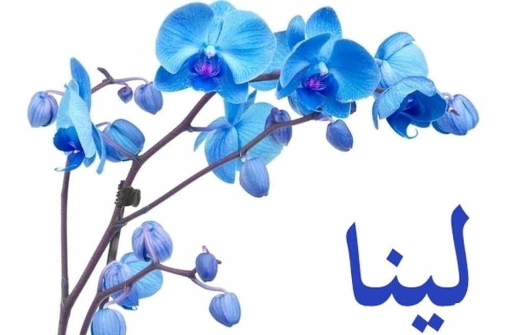 اجمل اسماء بنات كيوت ودلوعة 1 اجمل اسماء بنات كيوت ودلوعة