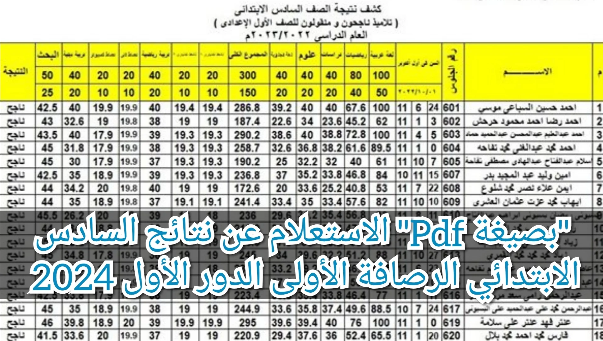 نتيجة الرصافة الأولى | رابط مباشر لاستعلام نتيجة السادس الابتدائي بالعراق بالاسم 1 رابط مباشر لاستعلام نتيجة السادس الابتدائي بالعراق بالاسم