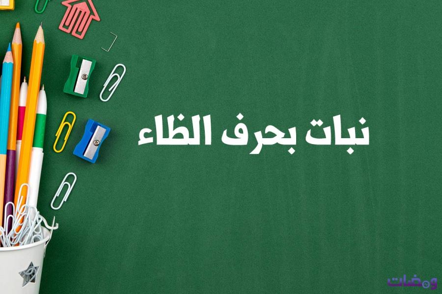 نبات بحرف ظ لعبة جماد حيوان نبات 1 نبات بحرف ظ لعبة جماد حيوان نبات