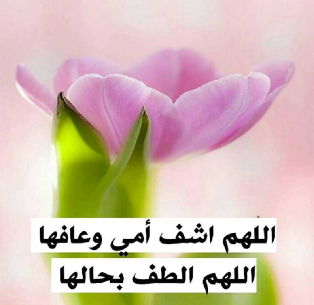 ردد كثيرًا .. دعاء اللهم اشفي امي شفاء لا يغادر سقما 1 دعاء اللهم اشفي امي شفاء لا يغادر سقما