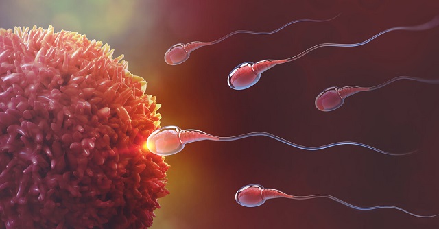 تجاربكم مع علامات تلقيح البويضة من حيث الفشل والنجاح 1 تجاربكم مع علامات تلقيح البويضة
