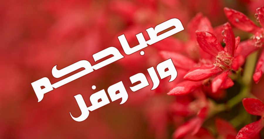 صباح الخير منظر جميل