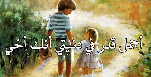 عبارات عن الأخ تويتر