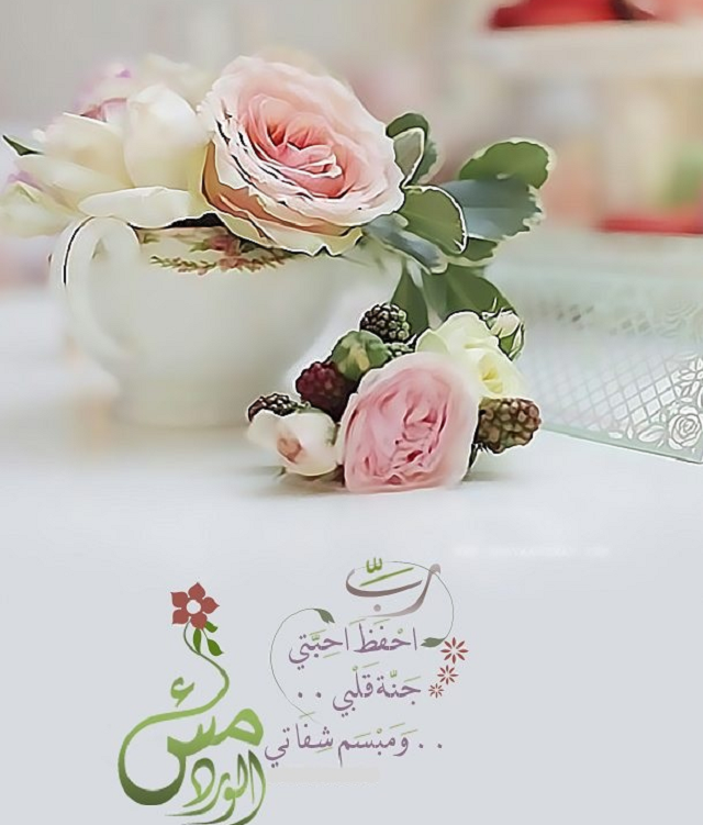عبارات في المساء 2025 مميزة وجميلة 1 عبارات في المساء مميزة وجميلة