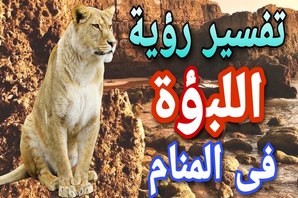 تفسير رؤية اللبؤة الأليفة في المنام للعزباء ابن سيرين 1 تفسير رؤية اللبؤة الأليفة في المنام