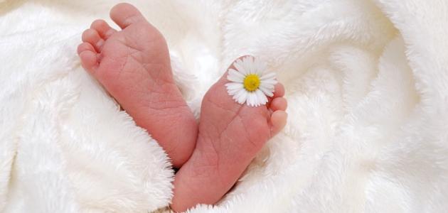 تهنئة مولود جديد في العائلة تويتر