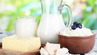 دراسة جدوى مشروع منتجات الألبان