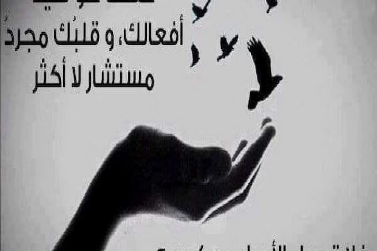 عبارات جميلة جداً وقصيرة ومميزة عن الحياة 1 عبارات جميلة عن الحياة