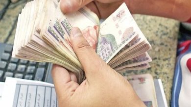 مشروع برأس مال 30000 جنيه مصري 0 (1)