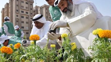 معلومات عن يوم التخضير في الكويت