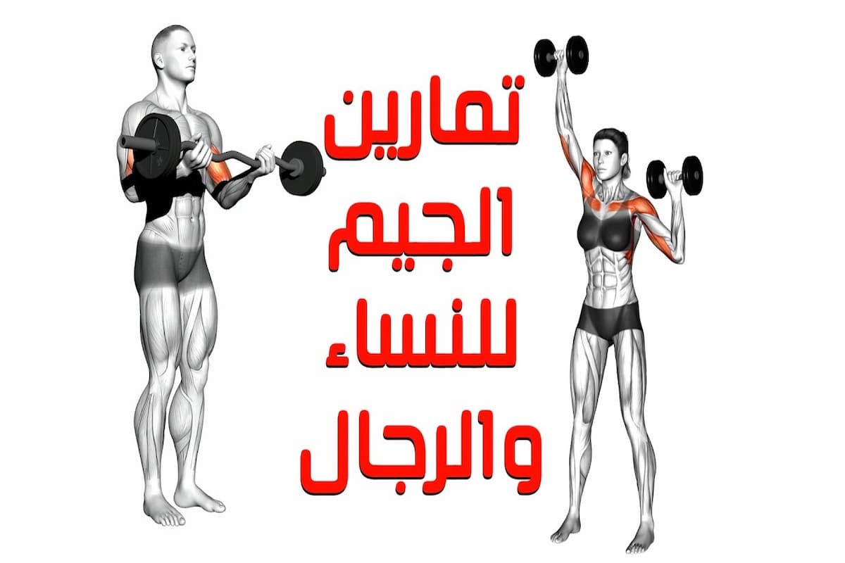 أفضل نظام تمرين في الجيم للتخسيس 2025 1 نظام تمرين في الجيم للتخسيس