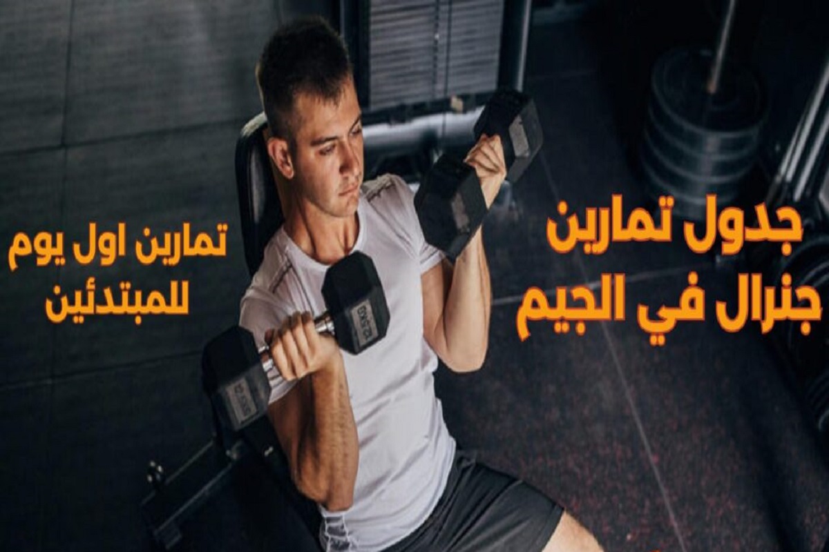 نظام تمرين في الجيم للمبتدئين والمستويات في هذه المرحلة 1 نظام تمرين في الجيم للمبتدئين