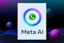 تحدث مع الروبوت الآن على الواتس
