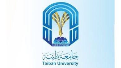 جامعة طيبة