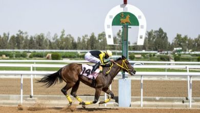 نادي سباقات الخيل