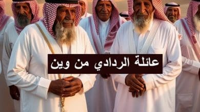 أصل قبيلة الردادي في مصر