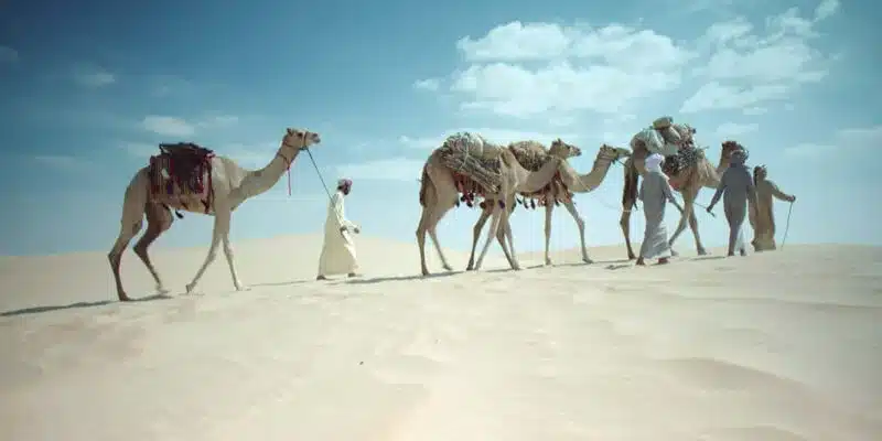 السبيعي وش يرجع؟ وما هو أصل القبيلة ونسبها 1 السبيعي وش يرجع
