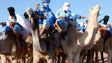 العساف وش يرجعون