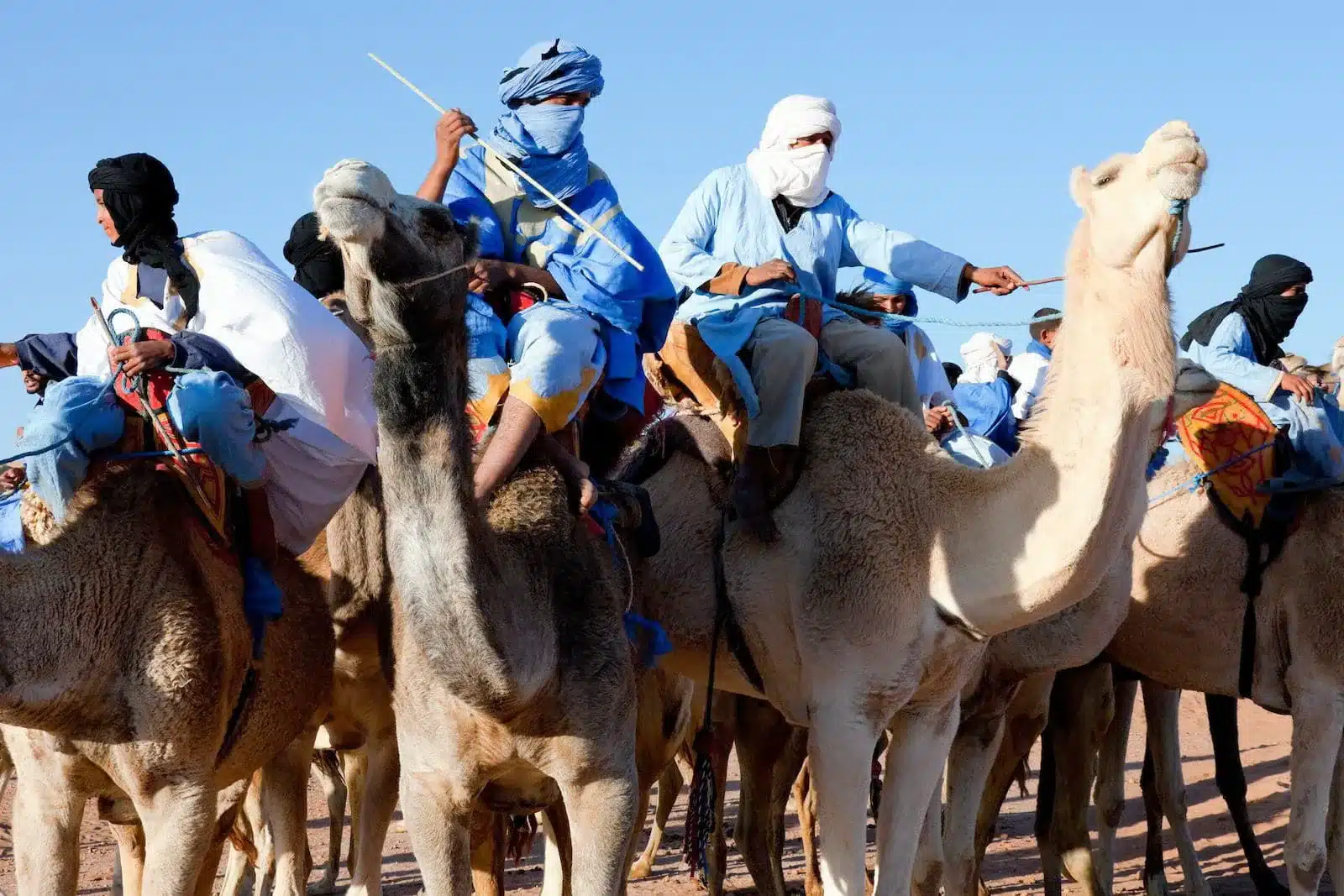 العساف وش يرجعون وما هو اصلهم؟ فروع شجرة قبيلة العساف 1 العساف وش يرجعون