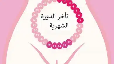 سبب تاخر الدورة الشهرية للعزباء