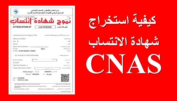 كيفية استخراج شهادة عدم الانتساب casnos من الانترنت بدون رقم ضمان اجتماعي عبر الصندوق الوطني للضمان 1 كيفية استخراج شهادة عدم الانتساب casnos