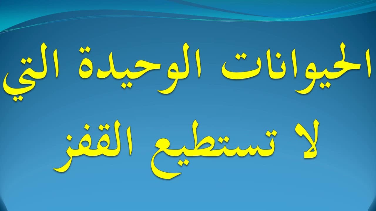 ما هو الحيوان الذي لا يستطيع القفز؟ وأبرز المعلومات عنه 1 ما هو الحيوان الذي لا يستطيع القفز