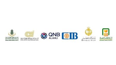 البنوك المصرية