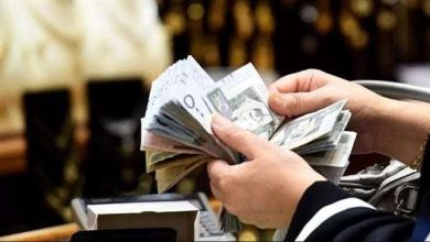 الرواتب في السعودية للمصريين