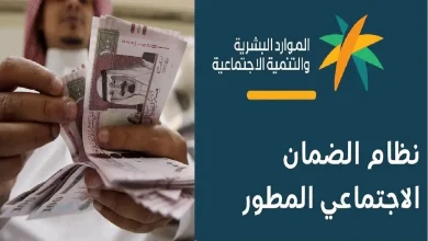 الضمان المطور