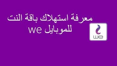 خطوات معرفة استهلاك النت الأرضي we برقم التليفون