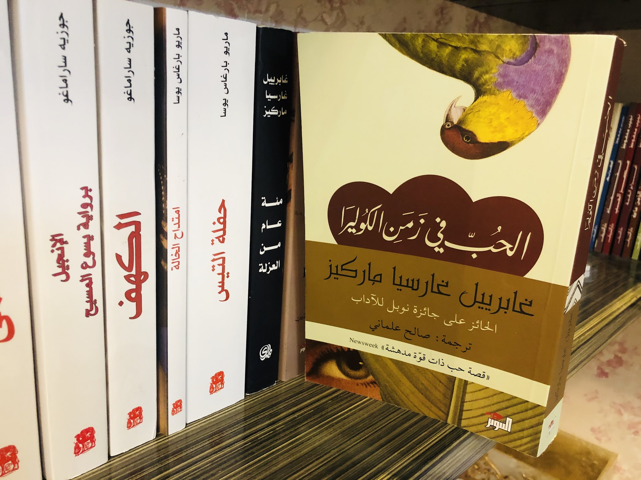 حملها الآن | رواية الحب في زمن الكوليرا لماركيث: قصة عشق أسطورية تتجاوز الزمان والمكان ومراجعة للرواية المترجمة الأشهر عربياً 2025 1 روايات الحب في زمن الكوليرا