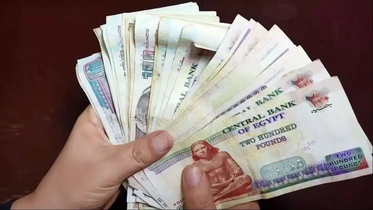 موعد صرف رواتب التأمينات الاجتماعية وأسباب التبكير والتأجيل 1 موعد صرف رواتب التأمينات الاجتماعية وأسباب التبكير والتأجيل